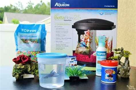 Fishing For Responsibility At Petsmart How To Buy A Pet Fish