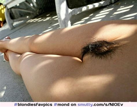 Hairy Mound Mond Pubis Pubic Mound Pussy Hairy