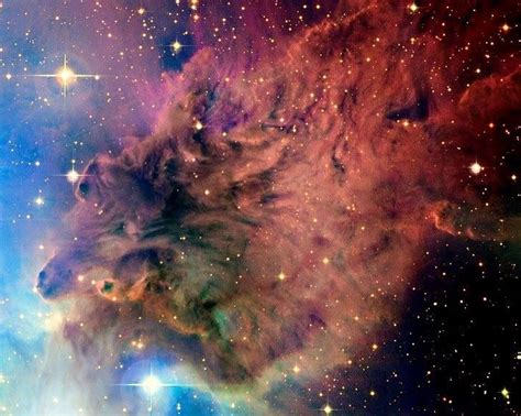 Fox Fur Nebula Is Located In Monoceros And Included In The Ngc 2264