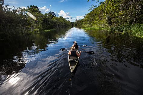 Top 15 Amazon Rainforest Activities Rainforest Cruises
