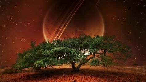 24 Tree And Space Wallpapers Wallpaperboat