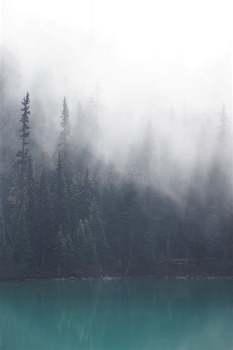 Morning Mist Rising From Turquoise Lake Stock Photo Image Of British