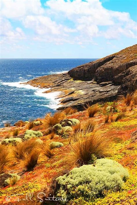 Flinders Chase National Park On Kangaroo Island Australia Australia