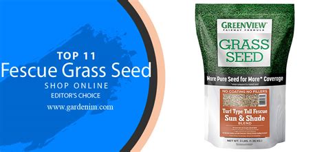 Best Fescue Grass Seed 2022 11 Best Turf Type Tall Fescue Grass Seed
