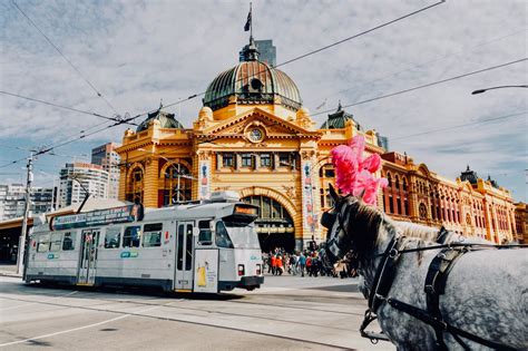 8 Of The Best Markets To Visit In Melbourne Little Grey Box