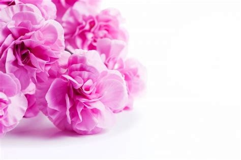 Scarica immagini e foto di fiori. Fiori rosa su un tavolo bianco | Scaricare foto gratis