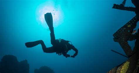 The Best Scuba Diving In Tasmania Scuba Diver Life