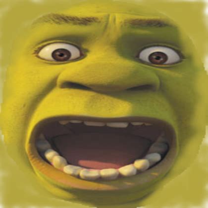 Did i spell it right lol hope you all have a wonderful day! shrek face decal - Roblox