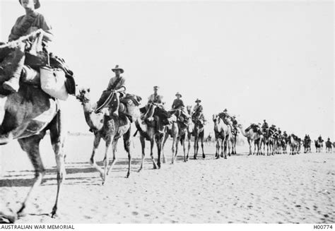 Us camel corps photo from wikicommons. No 1 Battalion, Imperial Camel Corps leaving El Kharga ...