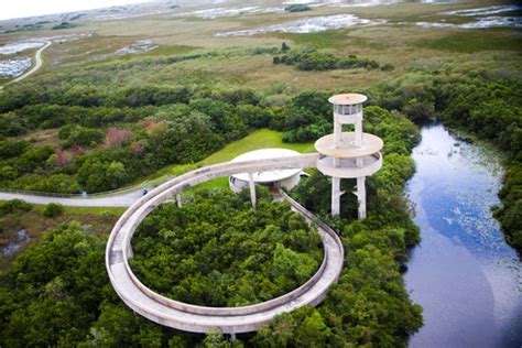 10 Best Things To Do In The Everglades Everglades Everglades Florida
