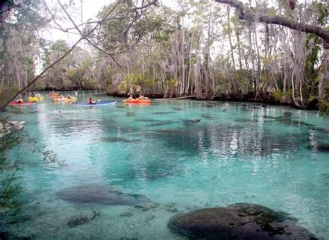 Crystal Springs River Florida Snorkel Dive Plan For Three