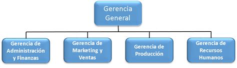 Estructura Funcional De Una Empresa