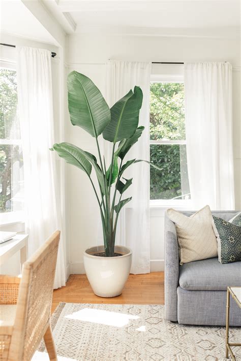 20 Decorating Corners With Plants