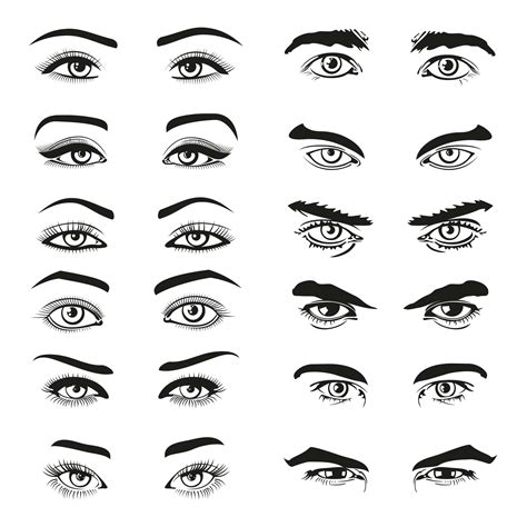 How To Choose The Best Eyebrow Shape For Your Face Bodycraft