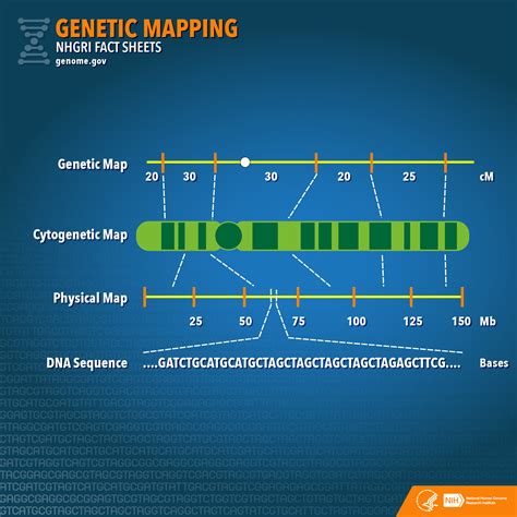 What Does A Gene Map Show Map Of The World