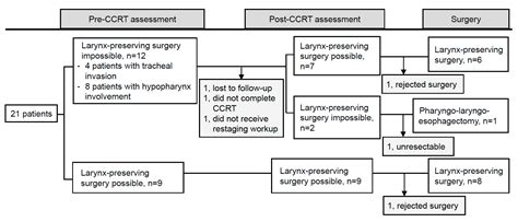 jcm free full text neoadjuvant chemoradiotherapy and larynx preserving surgery for cervical