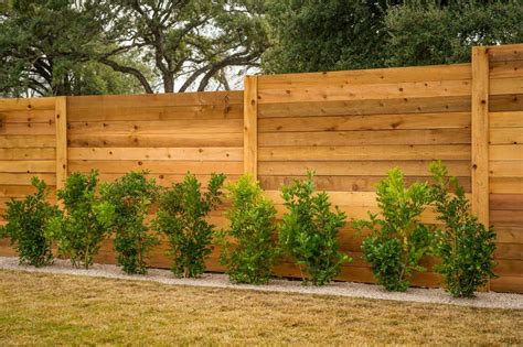 Living Fences Line Simple Landscaping
