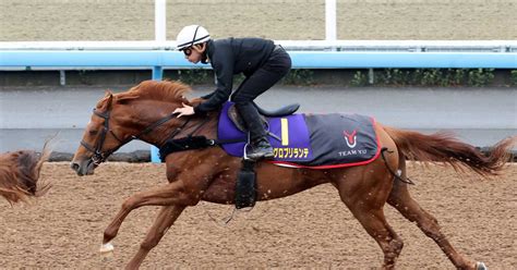 【皐月賞】1週前追い アレグロブリランテがwコースで抜群の伸び 上原佑師「うなっていました」 サンスポzbat