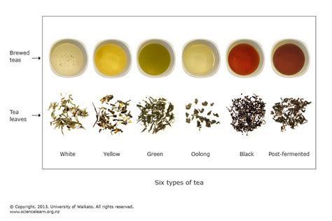 Six Types Of Tea — Science Learning Hub