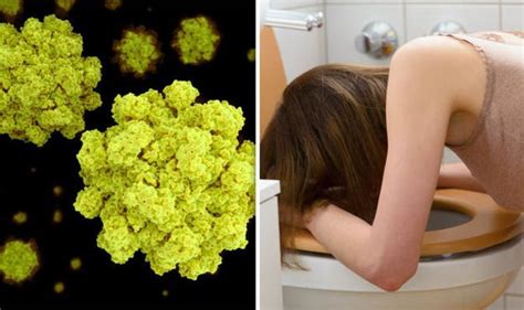 Norovirus Uk How To Treat Norovirus If You Think You Have It Uk