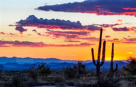 Phoenix Sunset