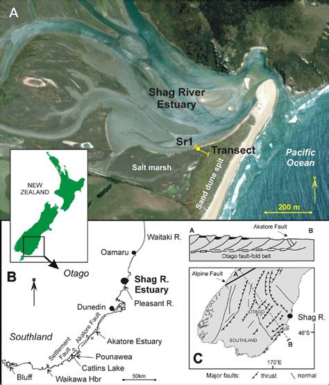 Location Of Shag River Estuary Study Area North Otago South Island