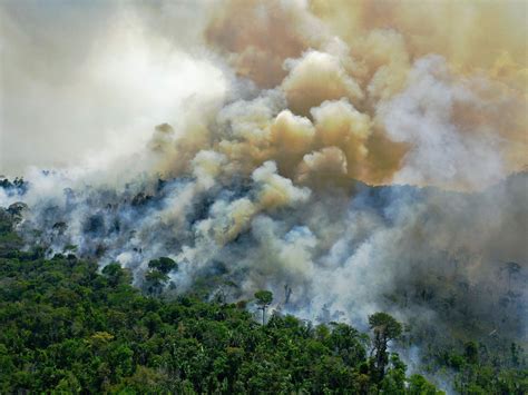 Parts Of The Amazon Rainforest Are Now Releasing More Carbon Than They