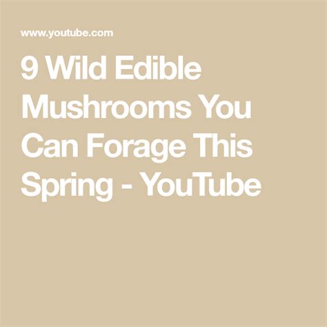 9 Wild Edible Mushrooms You Can Forage This Spring Youtube Stuffed