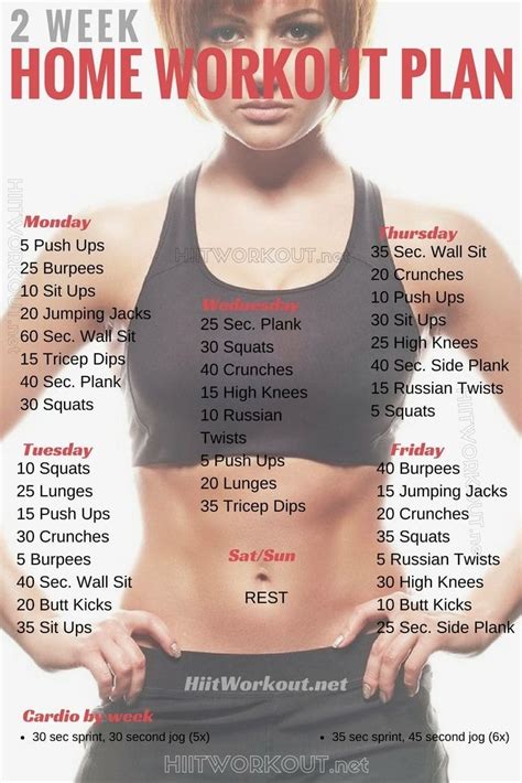 2 Week Workout Plan At Home Workout Plan For Beginners Workout Plan