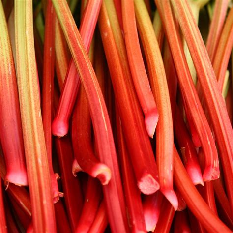 9 Rhubarb Benefits You Need To Know Taste Of Home