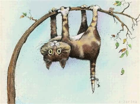 Neben geburtstagstorten, geburtstagsgrüßen, sprüchen, geburtstagssprüchen, kleeblättern, sektgläsern, luftballons, gratulanten, luftschlangen, geburtstagsgeschenken, lustigen comics findest du allerhand andere grafiken und bilder passend zum thema. Гиф анимация Кот залез на тонкое деревце и висит вниз ...