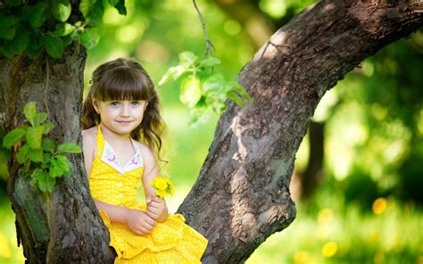 Little Girl Sitting In Tree