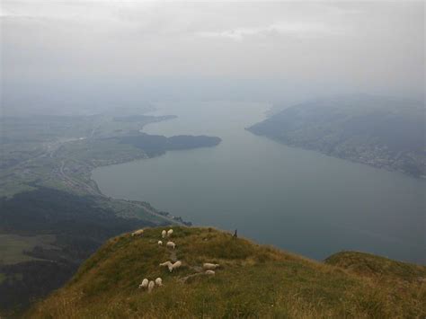 Panorama Rigi Sur Lac De Zoug Les Baroudeurs En Vadrouille