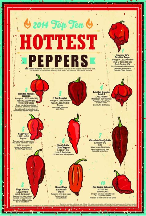 The Top 10 Hot Peppers Poster Lists The Hottest Peppers Of 2014 Using