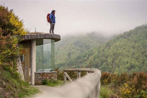 Ruta Por El Bosque De Muniellos Asturias Guía Repsol Guía Repsol