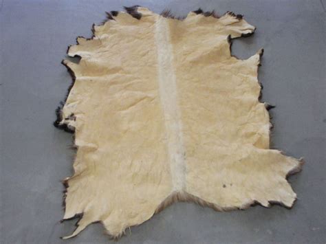Tanned Elk Hide 76 X 58 Good Condition