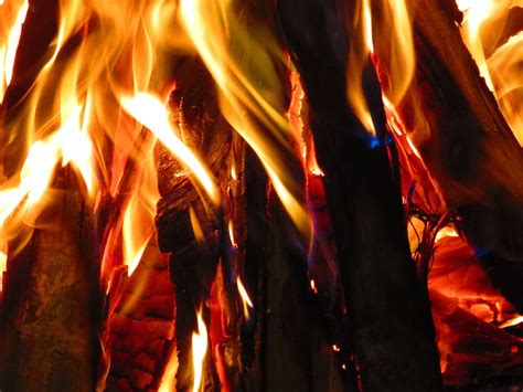 Free Download Wood Fire Campfire Bonfire Heat Lena Flames Hot