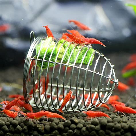 Stainless Steel Shrimp Aquarium Feeder Cage Dry Spinach Food Bottom Basket Aqaurium Shrimp