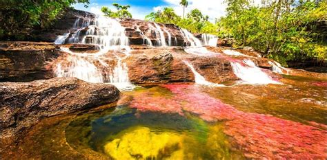 The Rainbow River Caño Cristales Colombia
