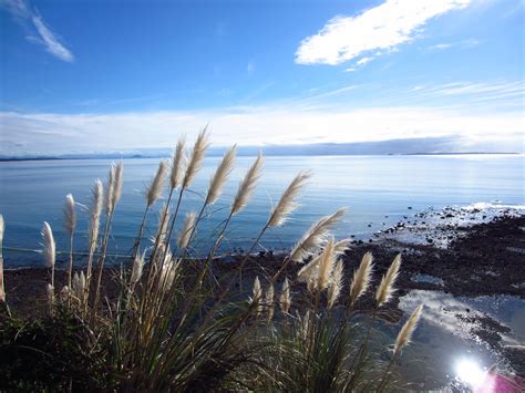 Rotorua, My Heart’s Devotion | Rotorua, New zealand, Oh the places youll go