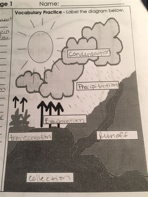 6th Grade Water Cycle Diagram Printable