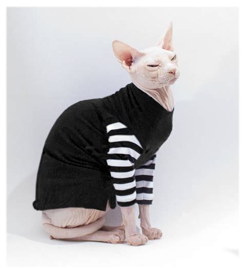 Cat Clothes Sphynx Cat Sweater Strange Stripes By Simplysphynx