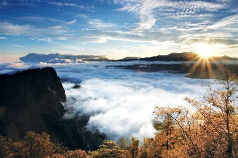 Alishan Mountain Taiwan Photo Gallery