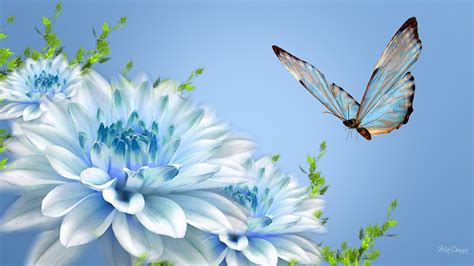 Checkout this amazing collection of images. Butterfly on a blue flower wallpapers and images ...