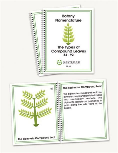 Botany Nomenclature Booklets Elementary Montessori Rd