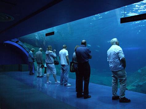National Marine Aquarium Plymouth Britain All Over Travel Guide