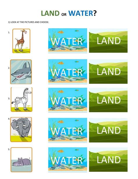 Land Or Water Interactive Worksheet Animal Worksheets Animals Live