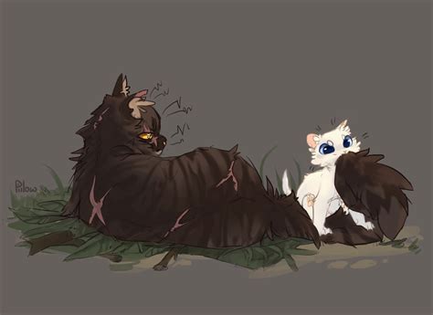 Brokentail And Cloudkit By Graypillow On Deviantart Warrior Cats Art