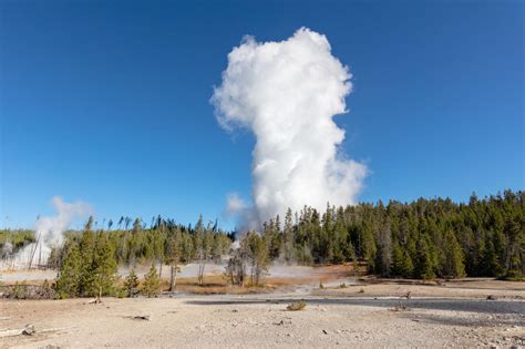 Worlds Tallest Geyser Erupts Once Again In Yellowstone Setting New Record