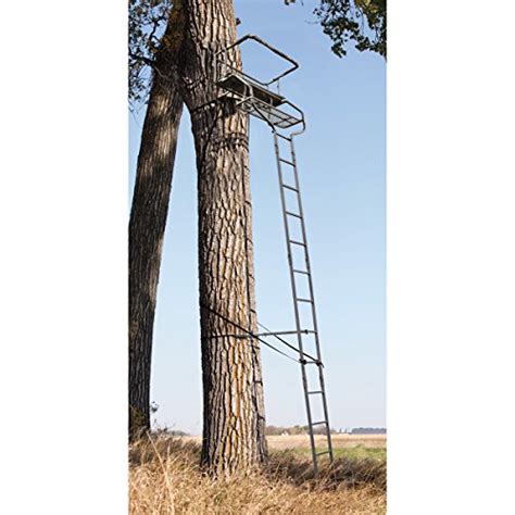 Top 5 Best Ladder Deer Stands For Sale 2016 Product Boomsbeat